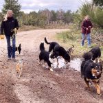 Balade autours du gite