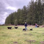 Balade autours du gite