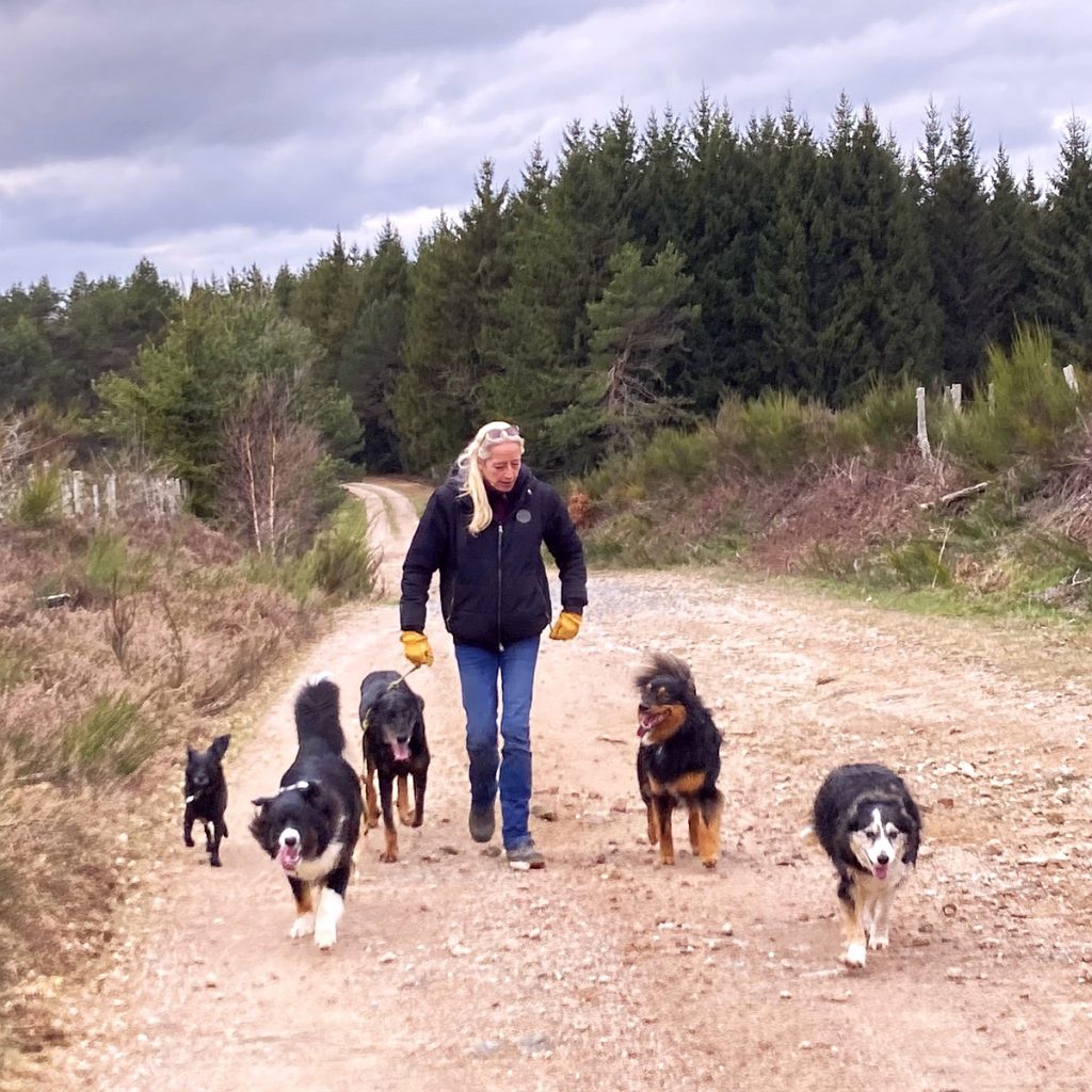 Balade autours du gite