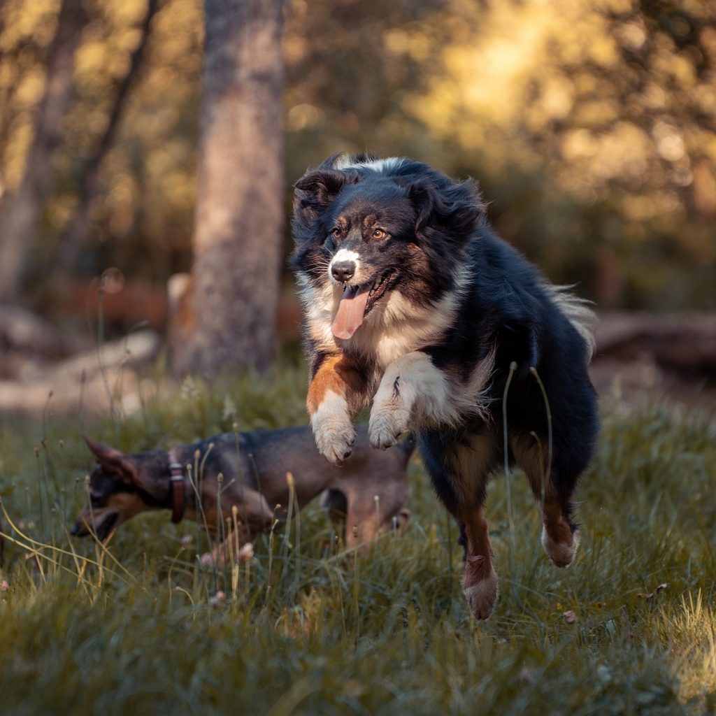 &copy; Pauline Caplier