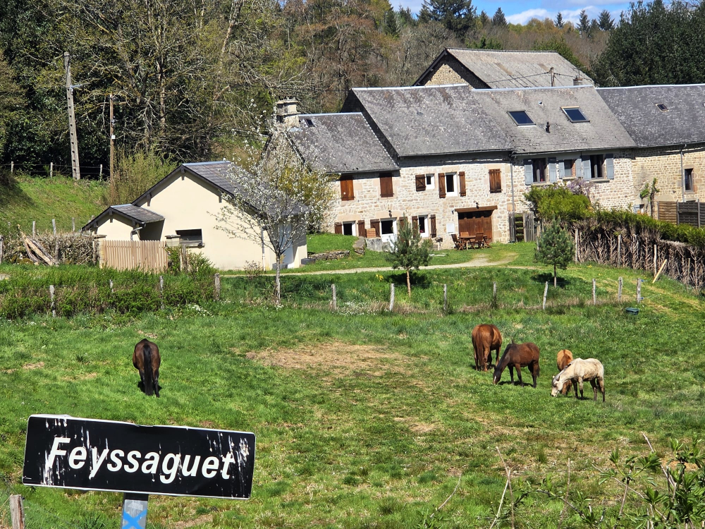 Le gite au printemps